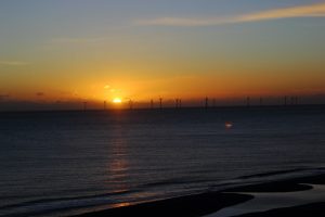 wind farm in sunset